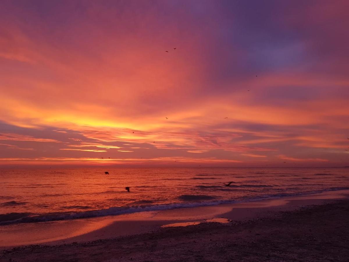 Caesar'S Studio Mamaia-Nord Zewnętrze zdjęcie